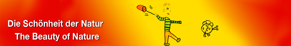 Kopfgrafik Website Die Schönheit der Natur / The Beauty of Nature
